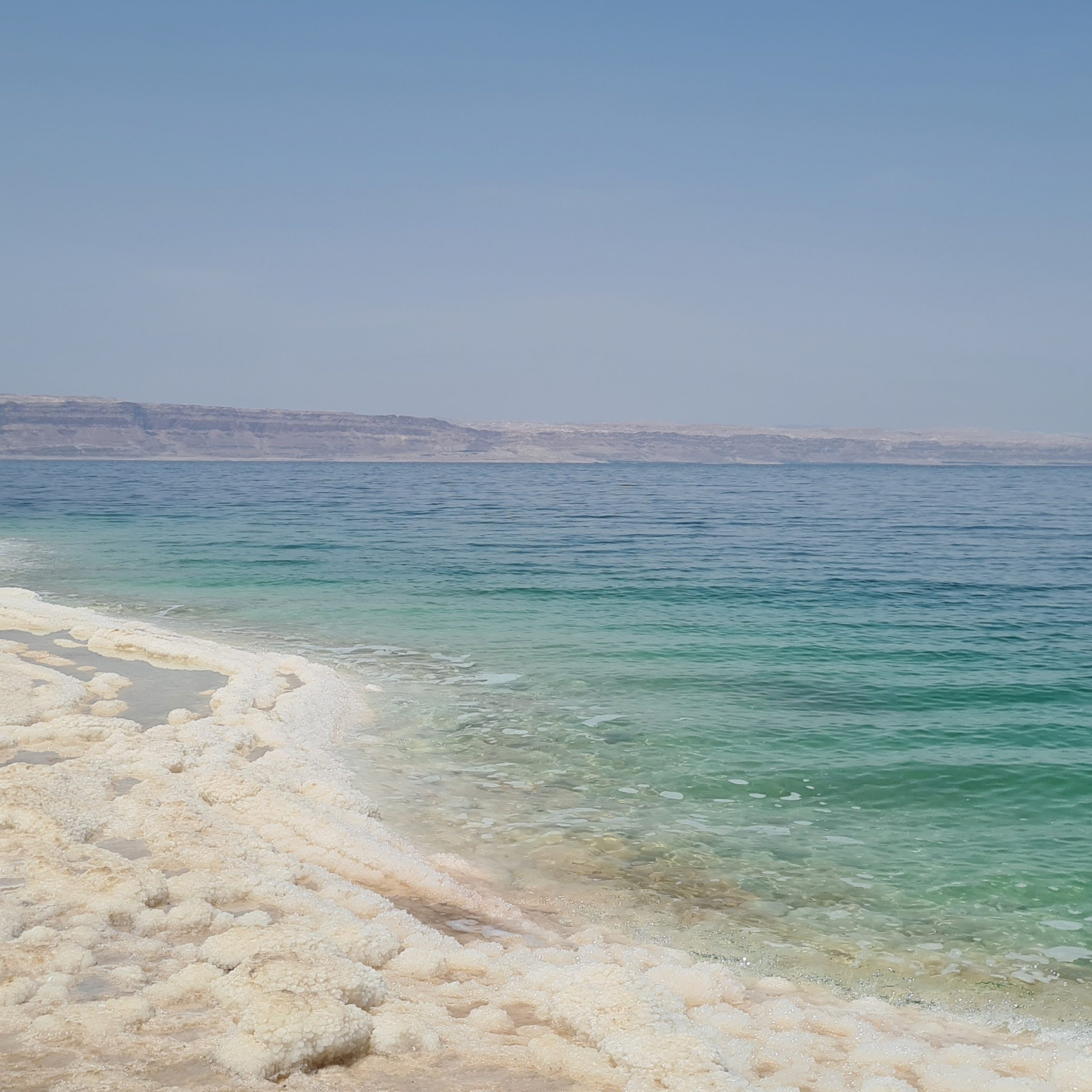 Day 7: Dead Sea Float and Return to Amman