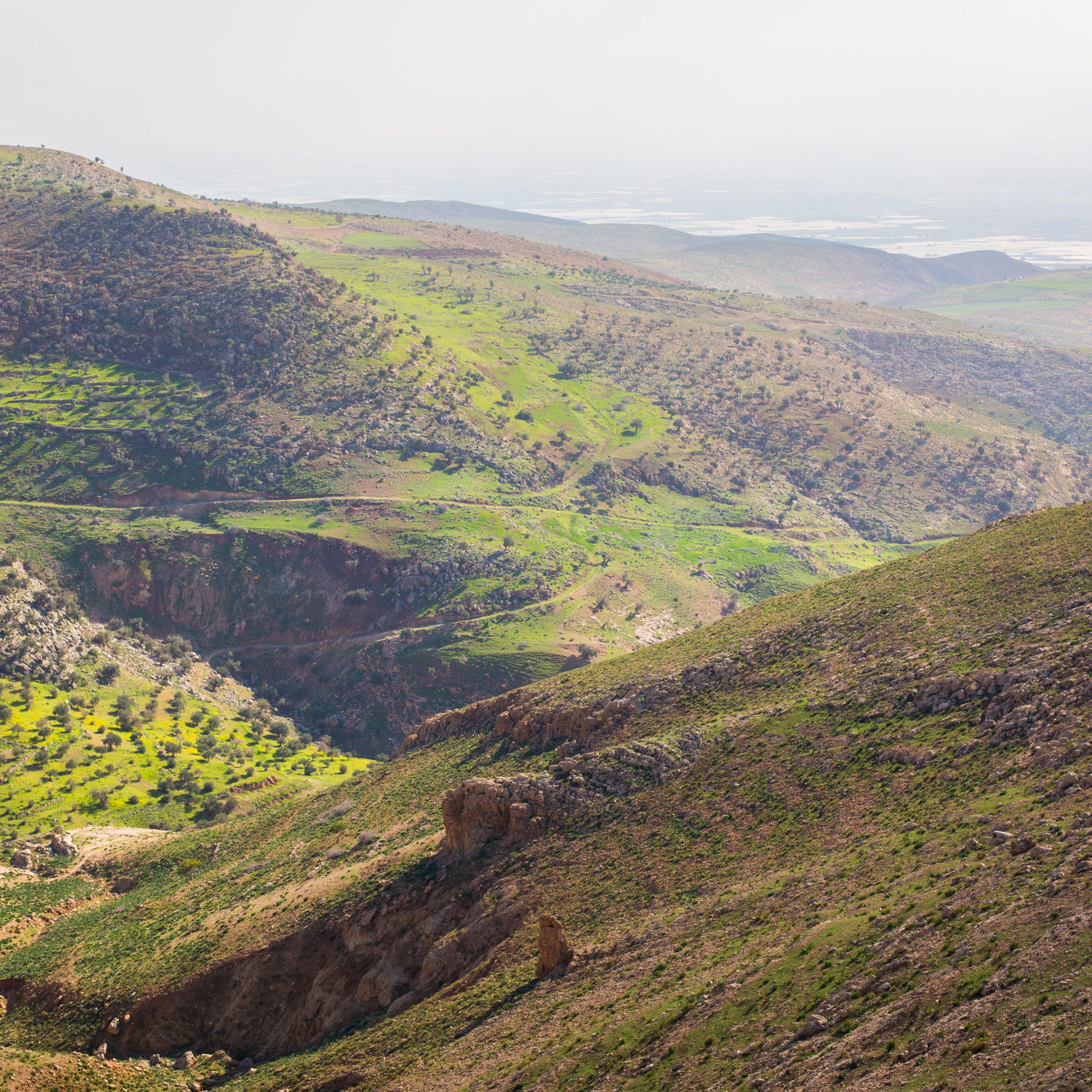 Jordan Nature