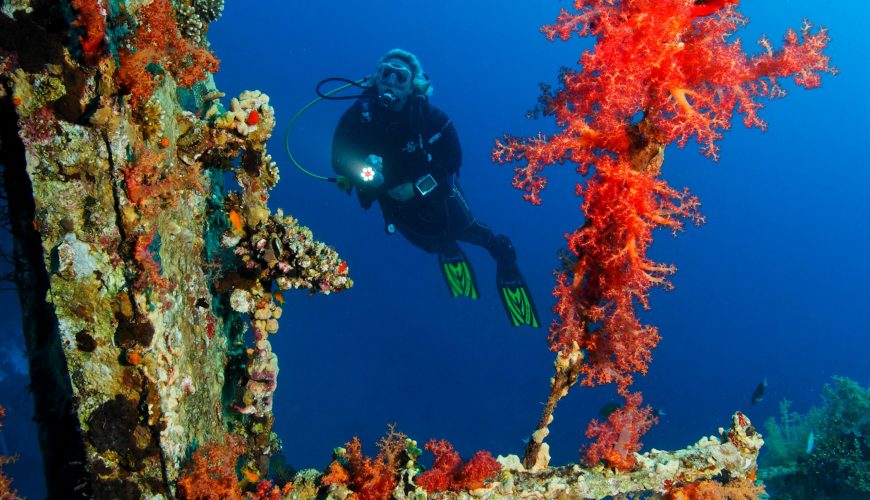 Diving in Aqaba