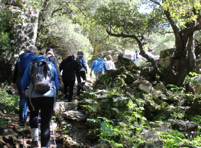 Forest Hike & Village Meal – Northern Jordan