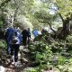 Forest Hike & Village Meal – Northern Jordan